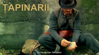 Tapinarii